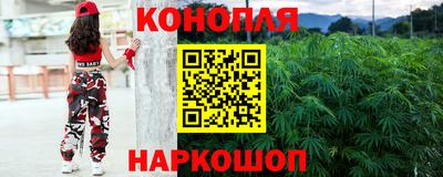 гашик Бузулук