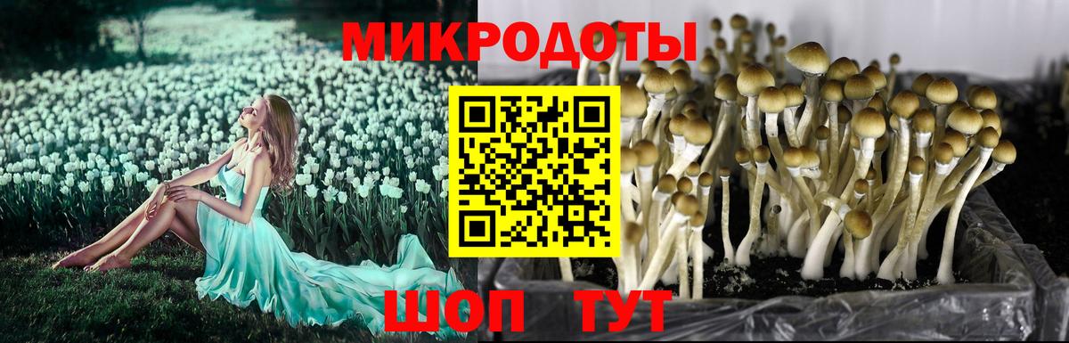 Псилоцибиновые грибы ЛСД Иркутск