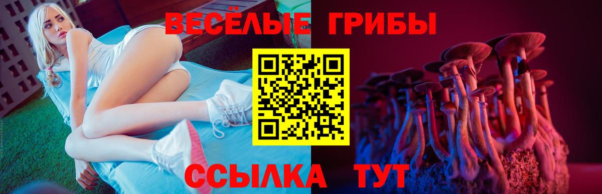 Псилоцибиновые грибы Cubensis  Псилоцибиновые грибы мицелий  Вход с VPN  Иркутск 